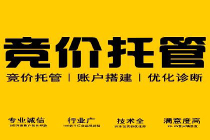 案例解读：SEM推广托管助力品牌崛起